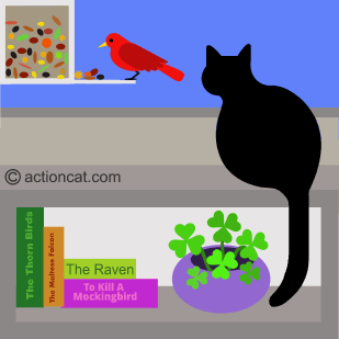 cat watching a bird feeder