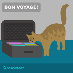 bon voyage - cat unpacking a suitcase