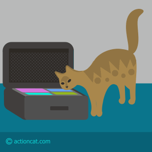 cat unpacking a suitcase - bon voyage or happy moving day