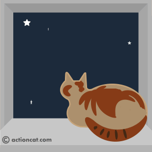 cat watching a falling star