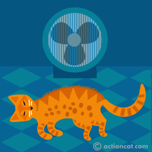 Cat days of summer.
