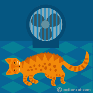 Cat cooling off in front of a fan.
