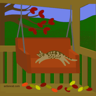 Cat on a porch swing in the fall.