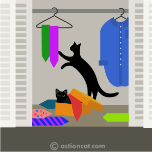 Cats playing with ties and a box in a closet.