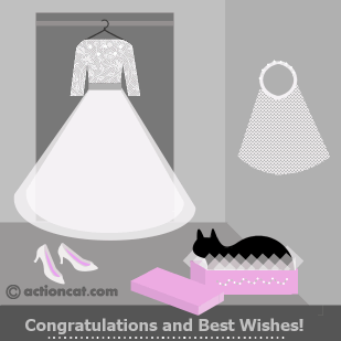 wedding dress veil shoes and cat in a box - glittery