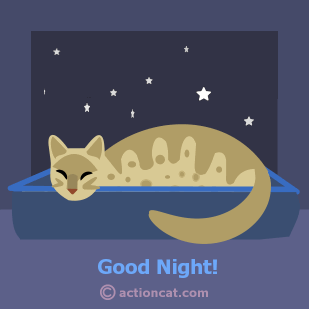 Good Night! Cat in window with stars.