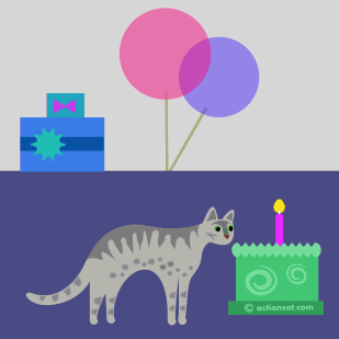 Grey cat licking birthday cake - happy birthday.