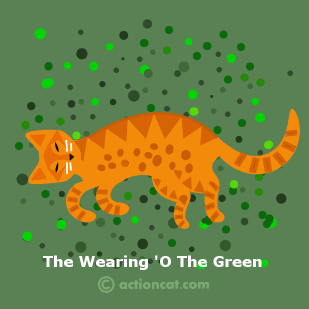 The Wearin' 'O The Green