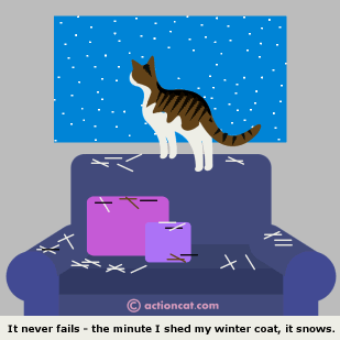It never fails, the minute I shed my winter coat it snows!