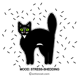 mood - stress shedding! v1