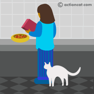 Thank you! also Thank Mew!