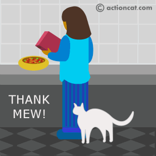 Thank Mew! Cat being thankful for food.