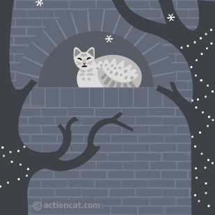 cat in a window watching the snowfall and tree lights